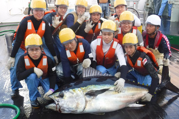 海洋科学高等学校の取り組み 延縄漁業で漁獲したキハダマグロの写真